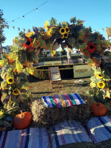 479558892 29262934209960419 6672898806673005419 n 